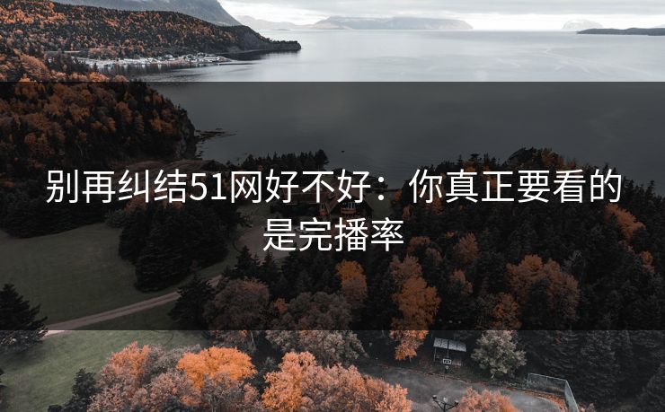 别再纠结51网好不好：你真正要看的是完播率